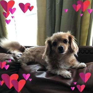 Meet your Posher, Sharon